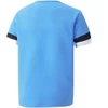 Puma teamRise Jersey Jr 704938 18