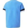 Puma teamRise Jersey Jr 704938 18
