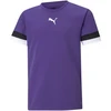 Puma teamRise marškinėliai Jr 704938 10