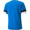 Puma teamRise Marškinėliai M 704932 02