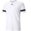 Puma teamRISE Marškinėliai M 704932 04