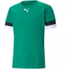 Puma teamRise marškinėliai M 704932 05