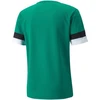 Puma teamRise marškinėliai M 704932 05