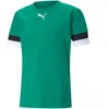 Puma teamRise marškinėliai M 704932 05