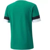 Puma teamRise marškinėliai M 704932 05
