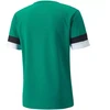 Puma teamRise marškinėliai M 704932 05