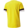 Puma teamRise marškinėliai M 704932 07