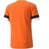 Puma teamRise marškinėliai M 704932 08
