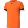 Puma teamRise marškinėliai M 704932 08