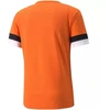 Puma teamRise marškinėliai M 704932 08