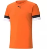 Puma teamRise marškinėliai M 704932 08
