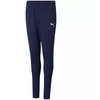 Puma teamRISE Poly Treniruočių Kelnės Jaunimo 657391 06