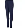 Puma teamRISE Poly Treniruočių Kelnės Jaunimo 657391 06