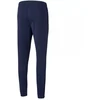 Puma teamRISE Poly treniruočių kelnės M 657390 06
