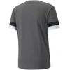 Puma teamRISE Smoked marškinėliai M 704932 13