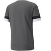 Puma teamRISE Smoked marškinėliai M 704932 13