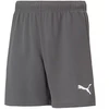 Puma teamRise Šortai Jaun. 704943 13