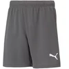 Puma teamRise Šortai Jaun. 704943 13