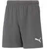 Puma teamRise Šortai Jaun. 704943 13