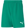 Puma teamRISE šortai jaunesniems (704943 05)