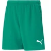 Puma teamRISE šortai jaunesniems (704943 05)