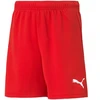 Puma teamRISE šortai, jauniams (modelis 704943 01)