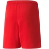 Puma teamRISE šortai, jauniams (modelis 704943 01)