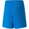 Puma teamRISE šortai, jaunimo, 704943 02