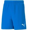 Puma teamRISE šortai, jaunimo, 704943 02