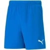 Puma teamRISE šortai, jaunimo, 704943 02