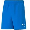 Puma teamRISE šortai, jaunimo, 704943 02