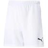 Puma teamRISE Šortai Jr 704943 03
