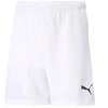 Puma teamRISE Šortai Jr 704943 03
