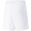 Puma teamRISE Šortai Jr 704943 03