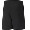 Puma teamRISE Šortai Jr 704943 04