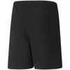 Puma teamRISE Šortai Jr 704943 04