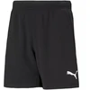 Puma teamRISE Šortai Jr 704943 04