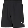 Puma teamRISE Šortai Jr 704943 04