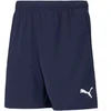 Puma teamRISE Šortai Jr 704943 06