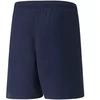 Puma teamRISE Šortai Jr 704943 06