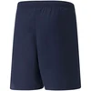 Puma teamRISE Šortai Jr 704943 06