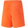 Puma teamRise šortai Jr 704943 08