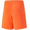 Puma teamRise šortai Jr 704943 08