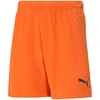 Puma teamRise šortai Jr 704943 08
