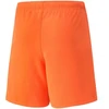 Puma teamRise šortai Jr 704943 08