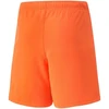 Puma teamRise šortai Jr 704943 08