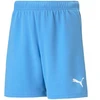 Puma teamRise šortai Jr 704943 18