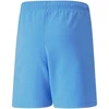 Puma teamRise šortai Jr 704943 18