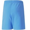 Puma teamRise šortai Jr 704943 18