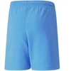 Puma teamRise šortai Jr 704943 18